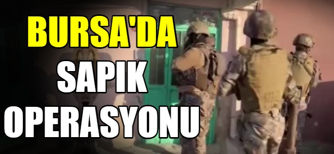 Eş zamanlı sapık operasyonu