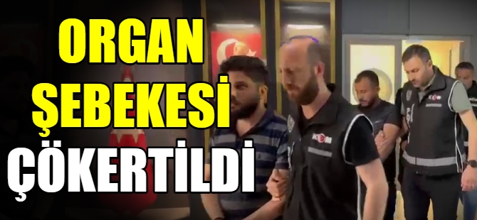 Organ şebekesi çökertildi