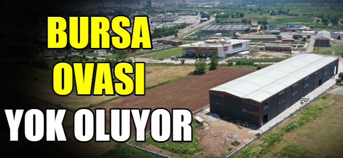 Bursa Ovası yok oluyor