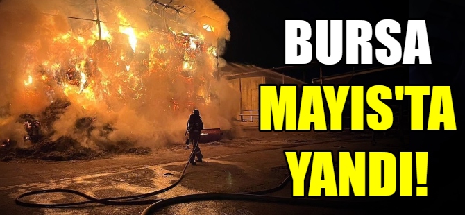 Bursa Mayıs ayında yandı