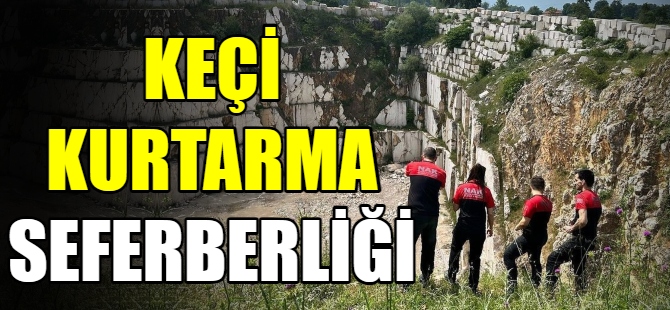 Keçi kurtarma seferberliği