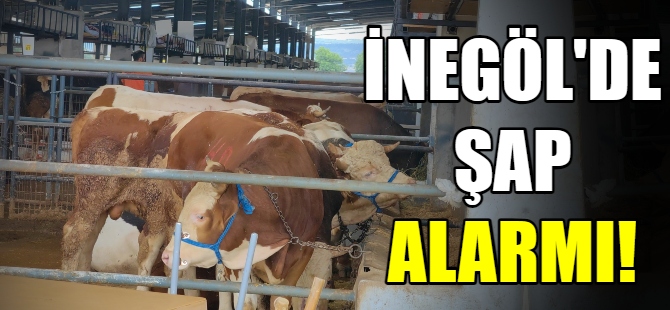 İnegöl'de şap alarmı!