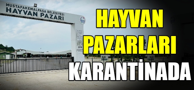 Hayvan pazarlarında şap karantinası