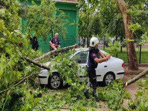 Bursa'da fırtına ağaçları devirdi