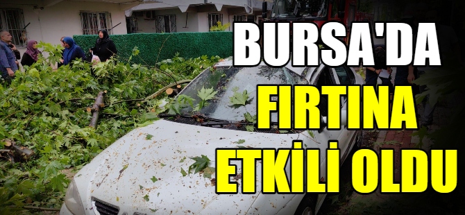 Bursa'da fırtına ağaçları devirdi