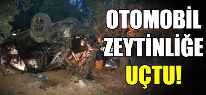 Otomobil zeytinliğe uçtu