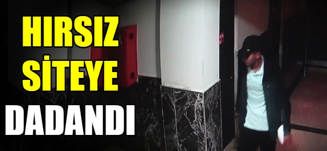 Hırsız siteye dadandı