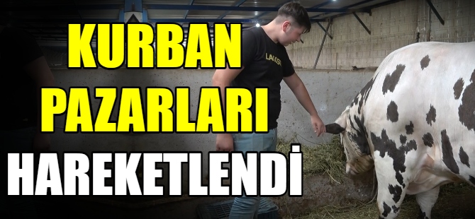 Kurban pazarları hareketlendi