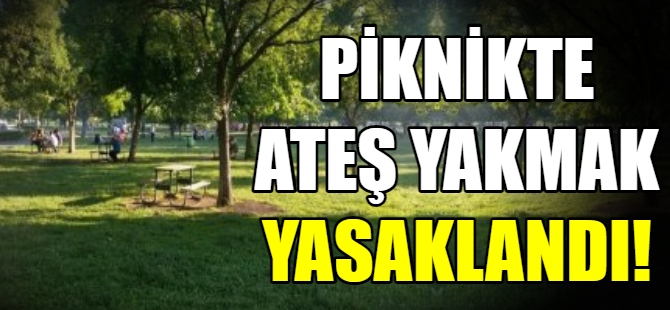 Ormanlarda ateş yakmak yasaklandı