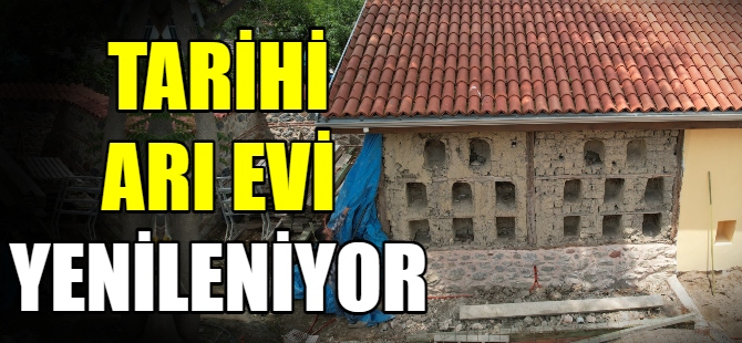 Tarihi arı evi yenileniyor