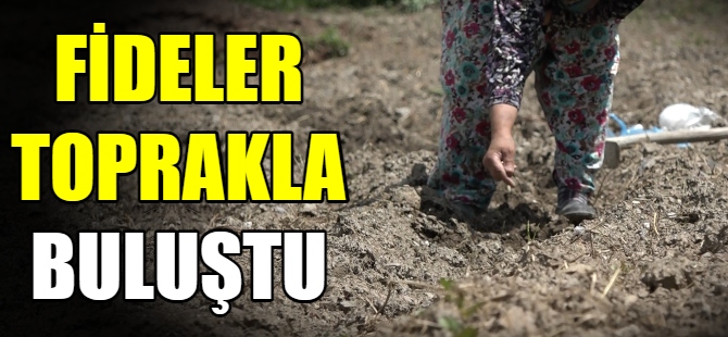 Bursa’da fideler toprakla buluştu