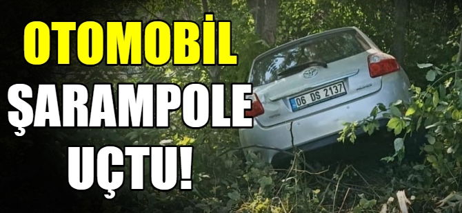 Otomobil şarampole uçtu