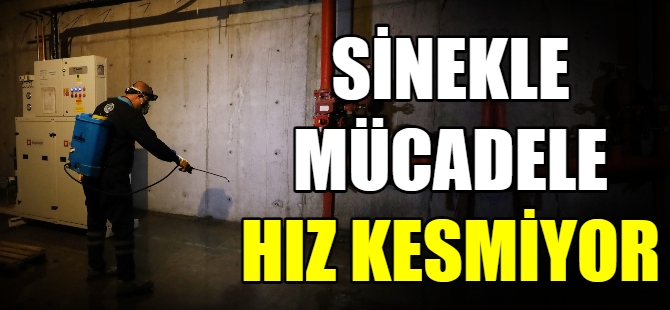 Sinekle mücadele hız kesmiyor