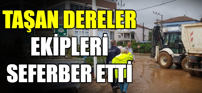 İznik'te ekipler seferber oldu