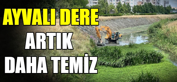 Ayvalı Dere  temizleniyor