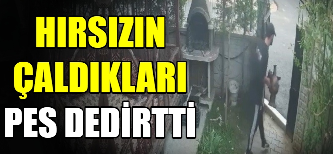 Hırsızın çaldıkları pes dedirtti