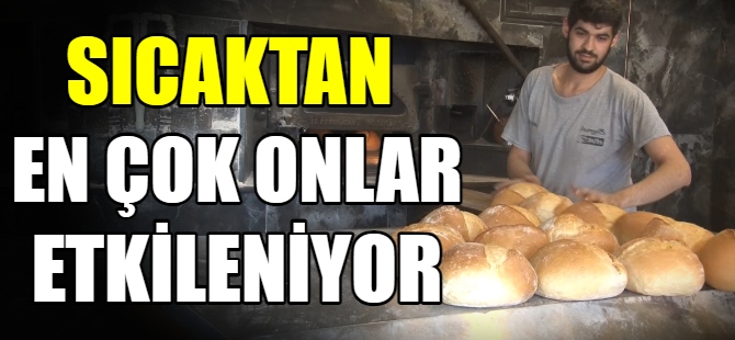 Sıcaklar en çok onları etkiliyor