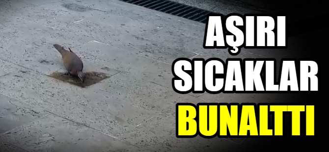 Bursa'da sıcak hava bunalttı