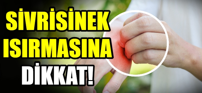 Sivrisinek ısırmasına dikkat