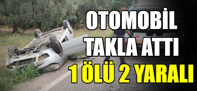 Otomobil takla attı: 1 ölü