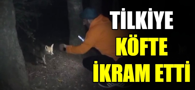 Tilkiye köfte ikram etti