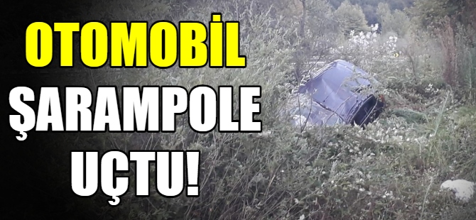 Otomobil şarampole uçtu