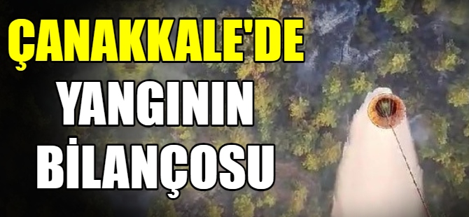 Çanakkale yangınının bilançosu