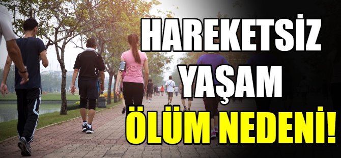 Hareketsiz yaşam ölüm nedeni