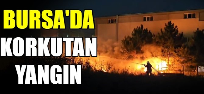 Bursa'da korkutan yangın