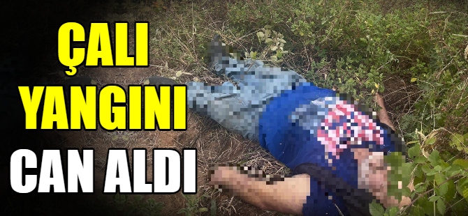 Çalı yangını can aldı