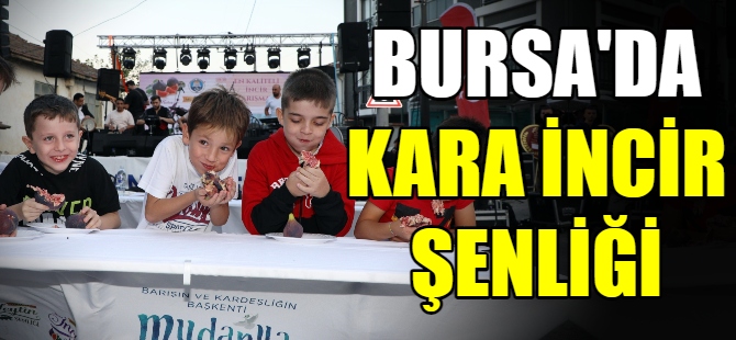 Bursa'da kara incir şenliği