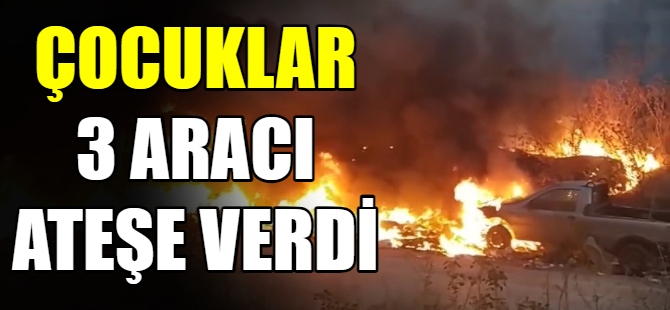 Çocuklar 3 aracı ateşe verdi