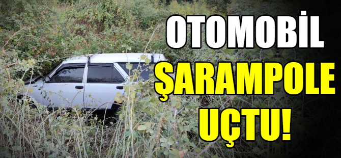 Otomobil şarampole uçtu