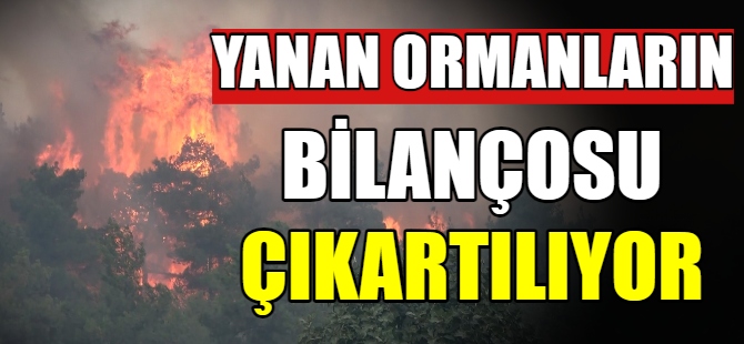 Yanan ormanların bilançosu çıkarılıyor