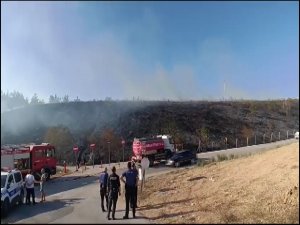 Bursa'da anız yangını