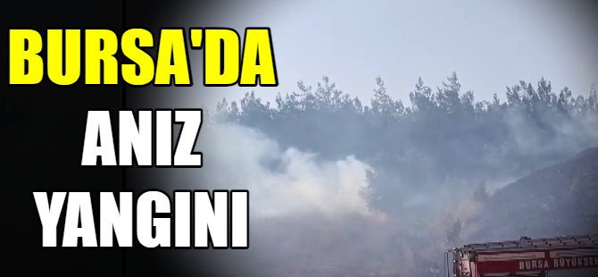 Bursa'da anız yangını