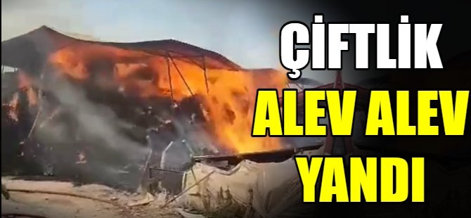 Çiftlik alev alev yandı