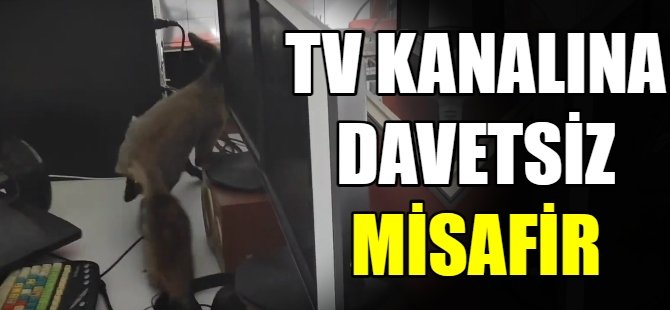 TV Kanalına davetsiz misafir