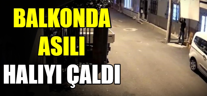 Balkona asılı halıyı çaldı