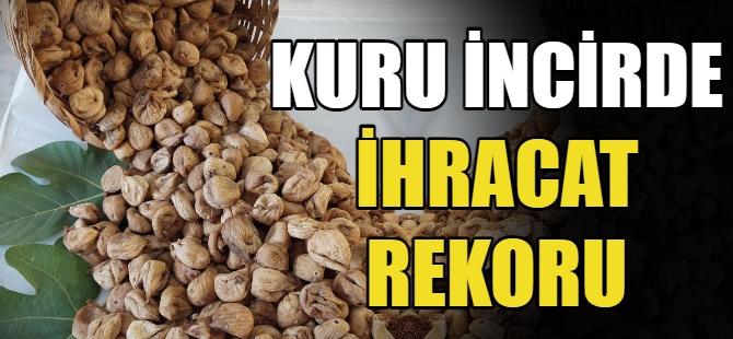 Kuru incir ihracatı arttı