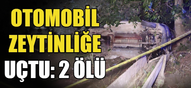 Otomobil zeytinliğe uçtu: 2 ölü