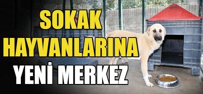 İznik'e yeni veterinerlik merkezi