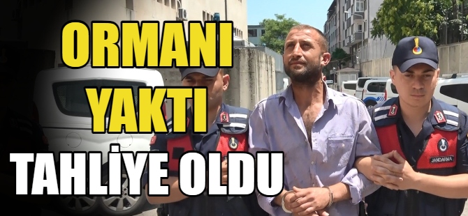 Ormanı yakan sanığa tahliye kararı