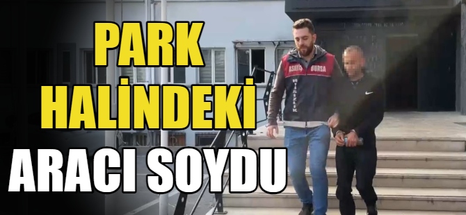 Park halindeki aracı soydu