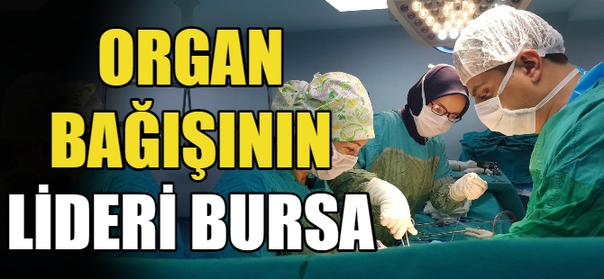 Bursa organ bağışında öncü