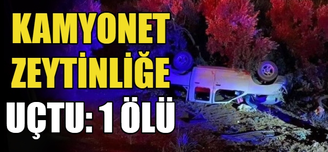 Kamyonet zeytinliğe uçtu