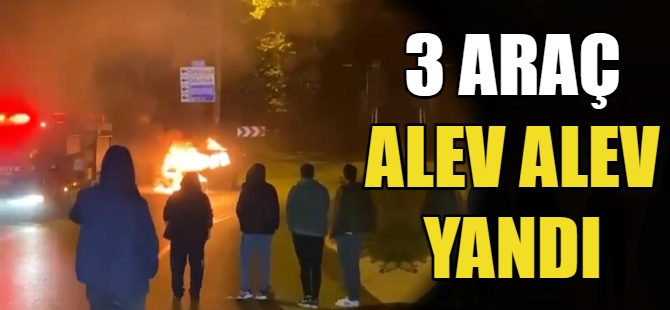 Bursa'da 3 araç alev alev yandı