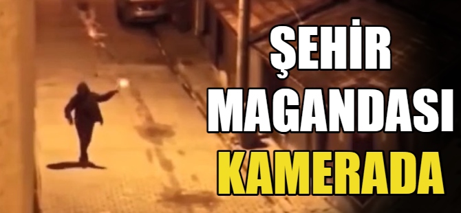 Şehir magandası kamerada