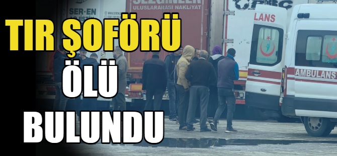 Tacikistanlı TIR şoförü ölü bulundu