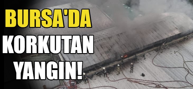 Bursa’da korkutan yangın